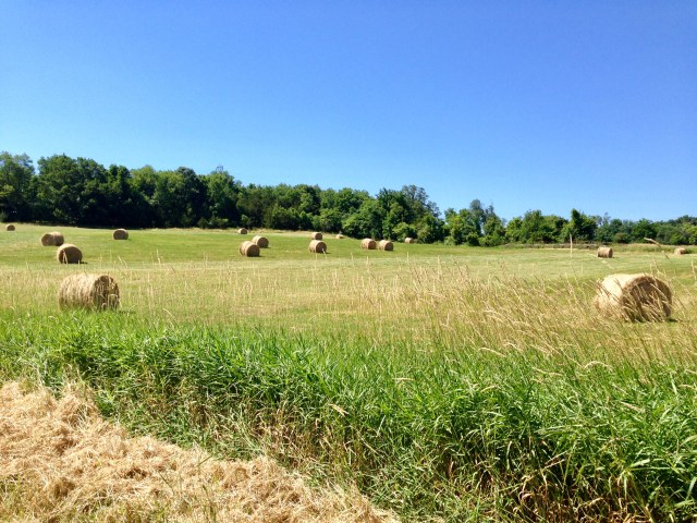 8CAB0CCA-43A6-475D-BC96-E865BC4B29C3