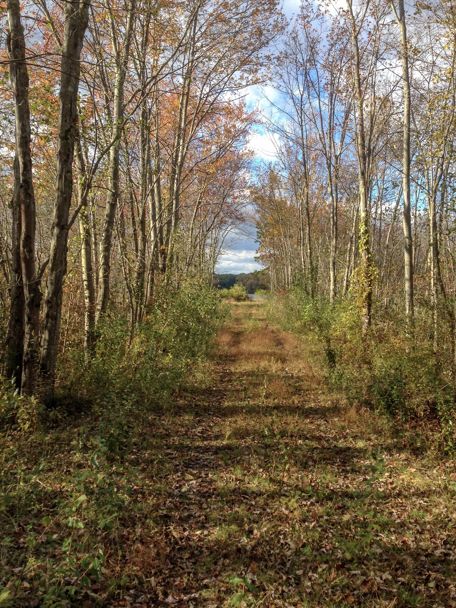 4E007E0F-AA1F-4FA2-8342-BA4CC69A6F2A