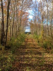 4E007E0F-AA1F-4FA2-8342-BA4CC69A6F2A