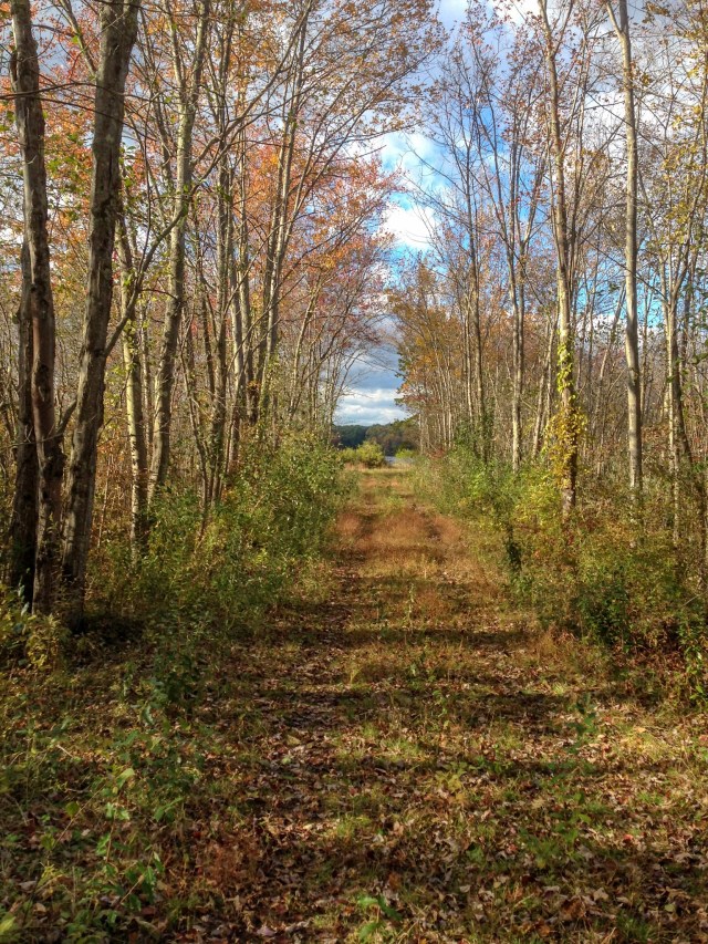 4E007E0F-AA1F-4FA2-8342-BA4CC69A6F2A