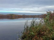 D06BC7F2-BFC3-46FA-8DF8-FD3EF21107DB