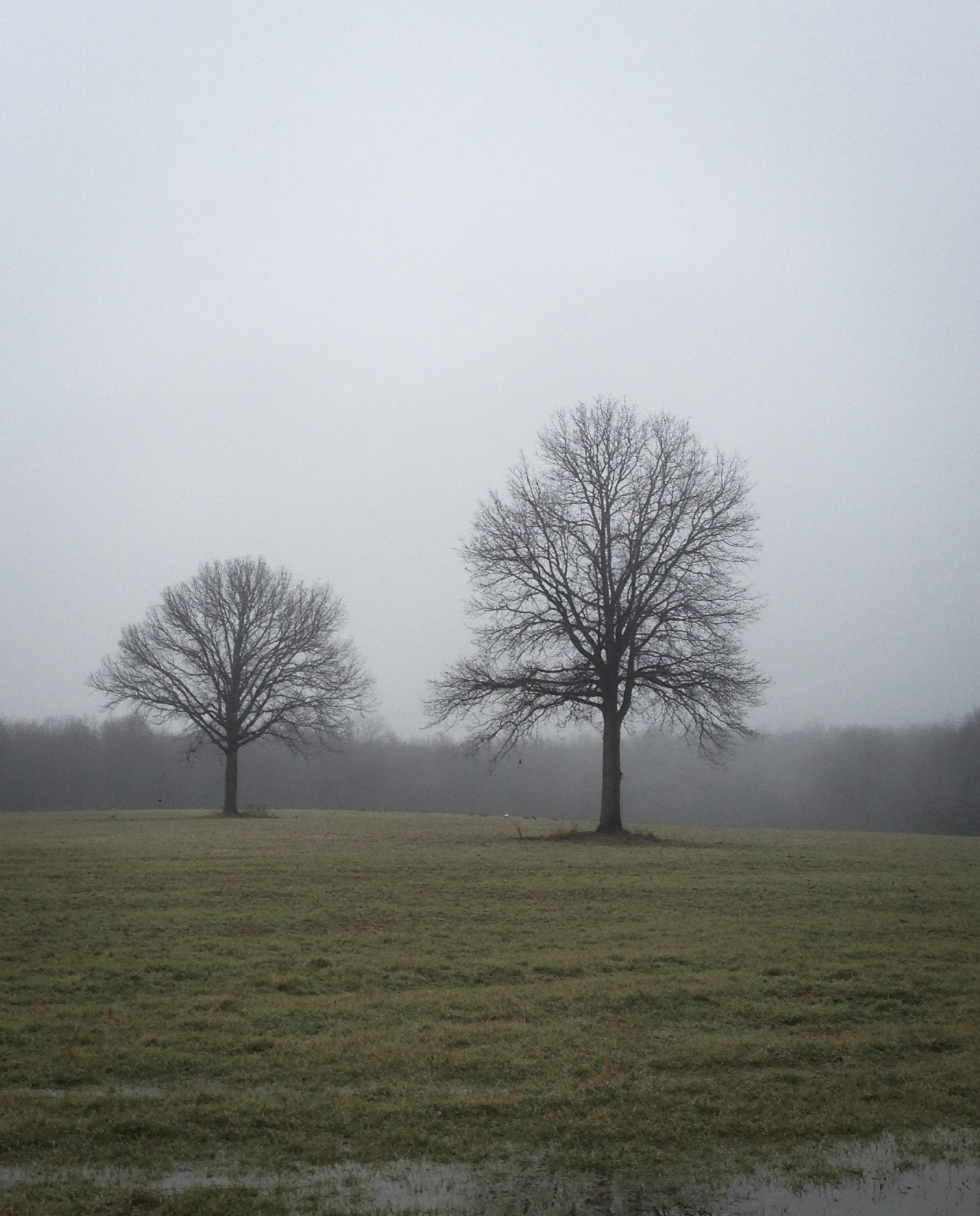 7CB1C1F3-1BD4-4273-AD58-D4ECA8F89F09