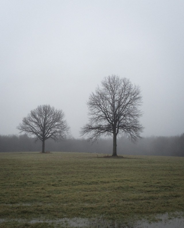 7CB1C1F3-1BD4-4273-AD58-D4ECA8F89F09